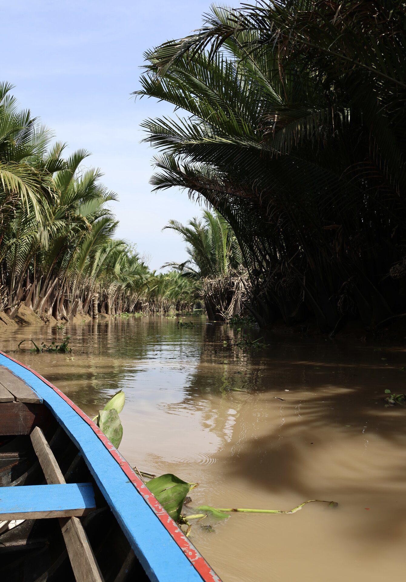 Mekong Canal