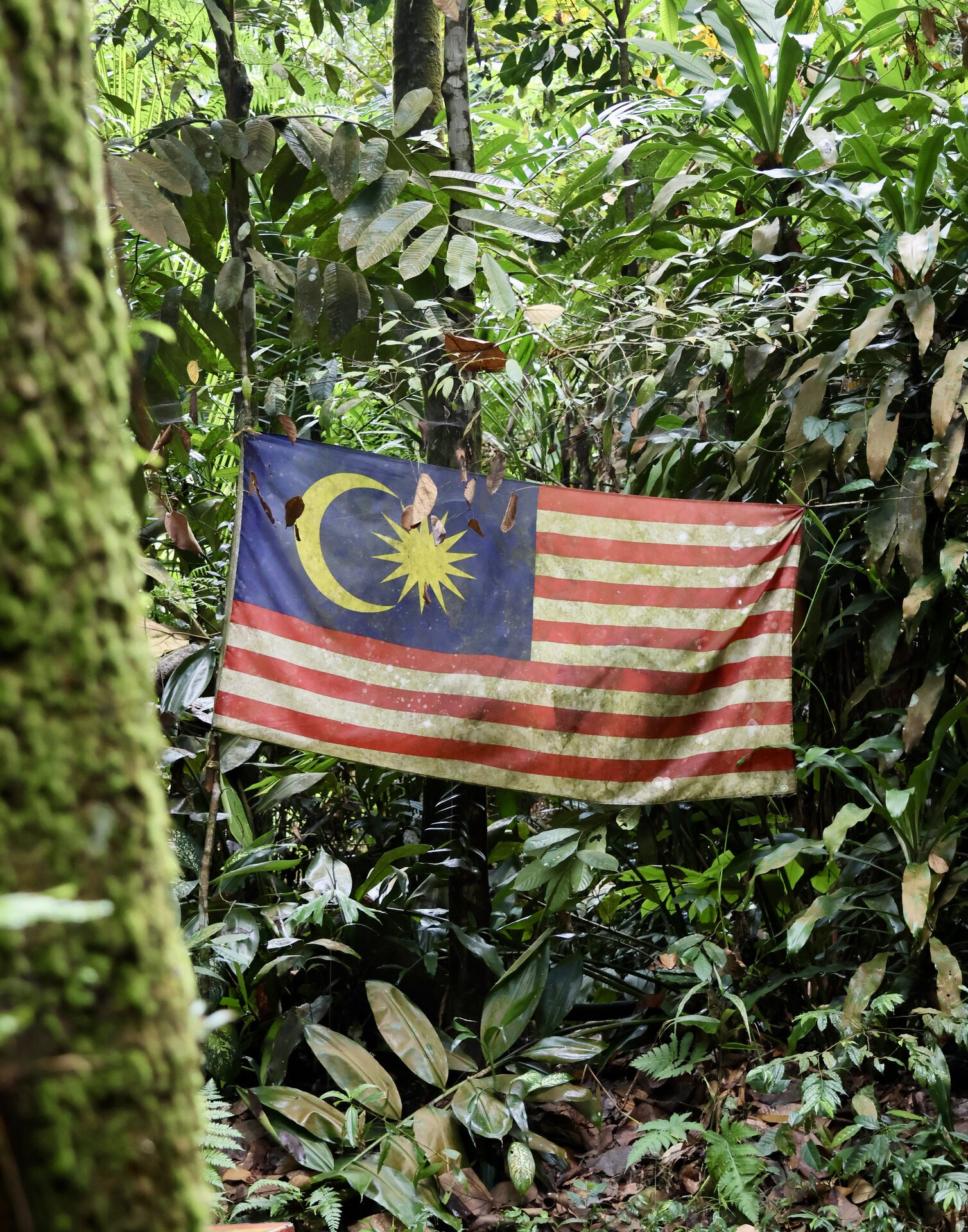Malaysian Flag