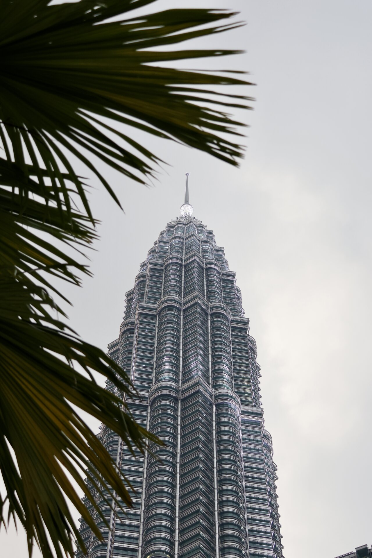 Petronas Towers