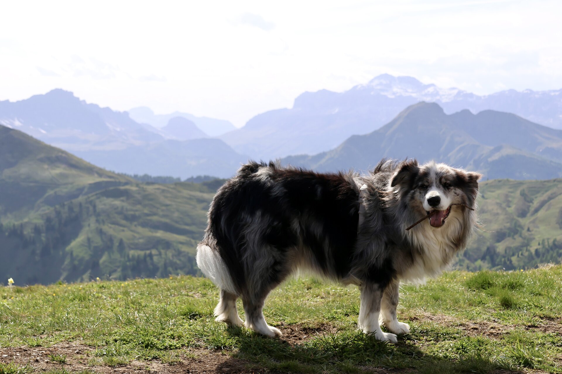 Dolomites