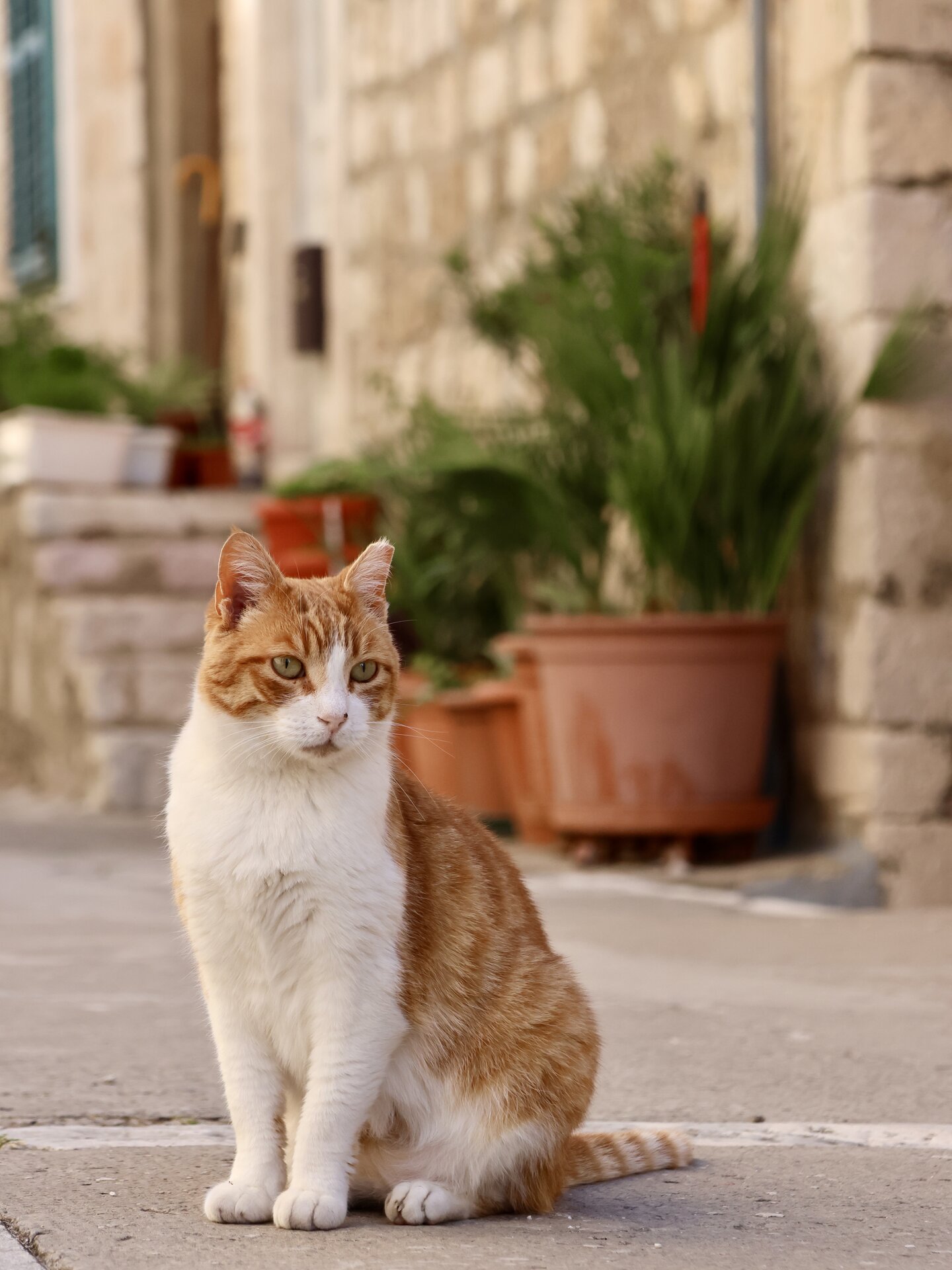 Croatia