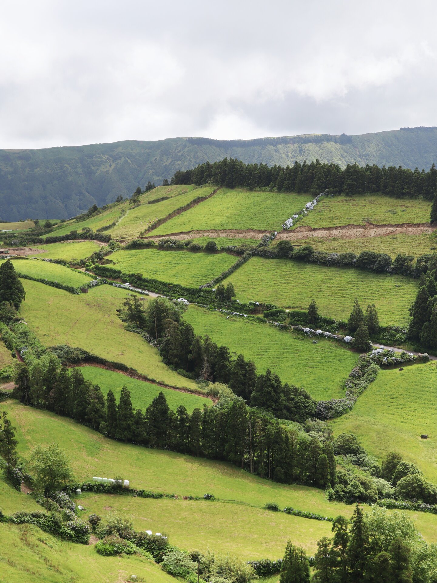 Azores