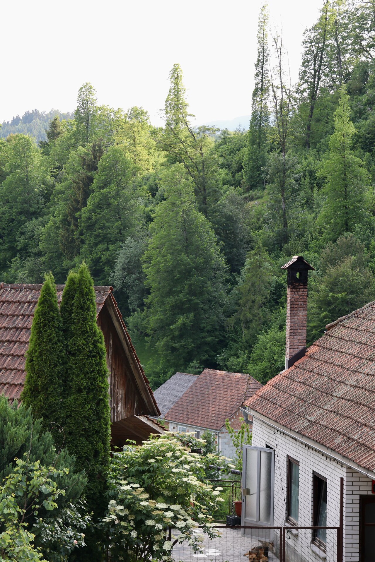 Slovenia