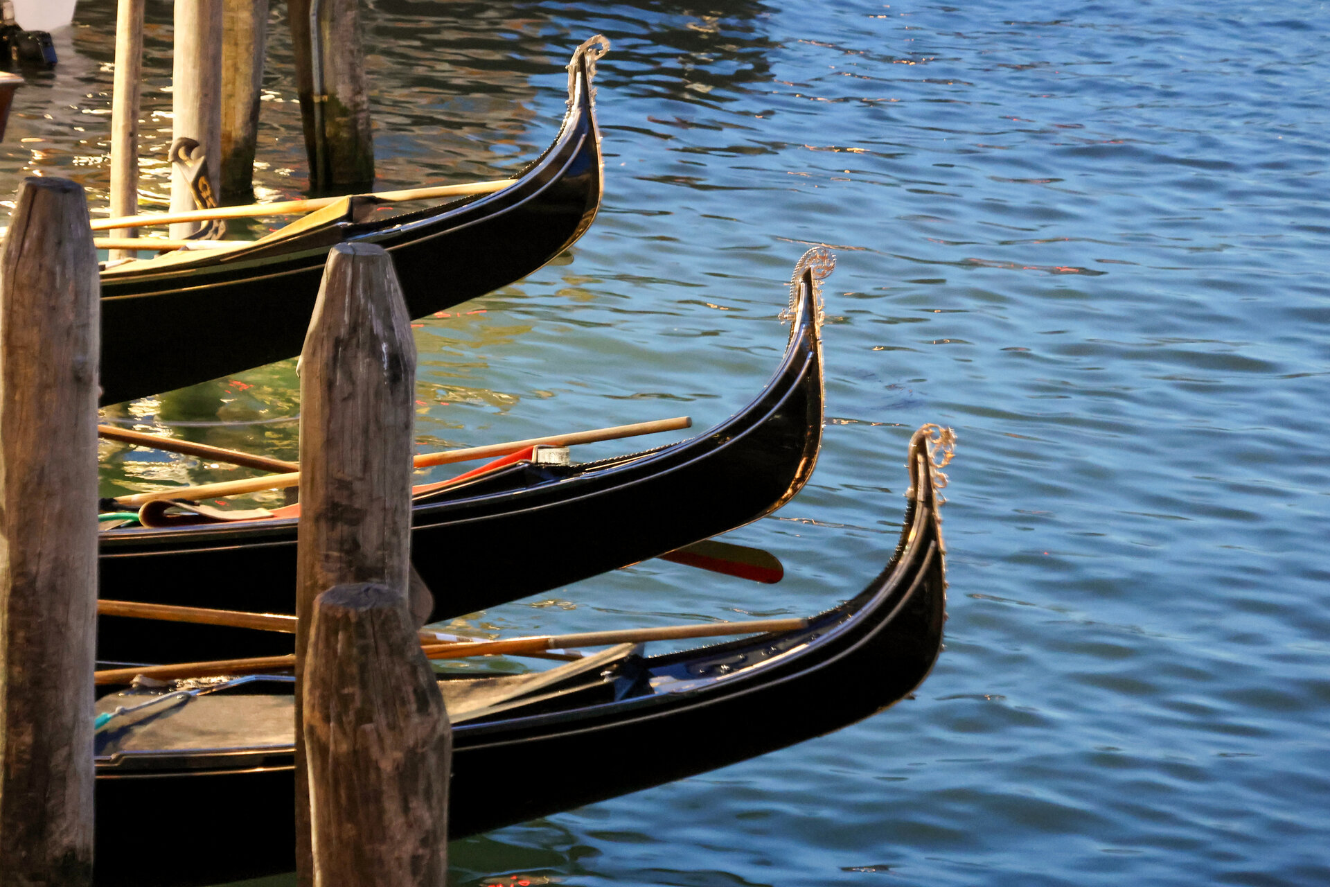 Venice