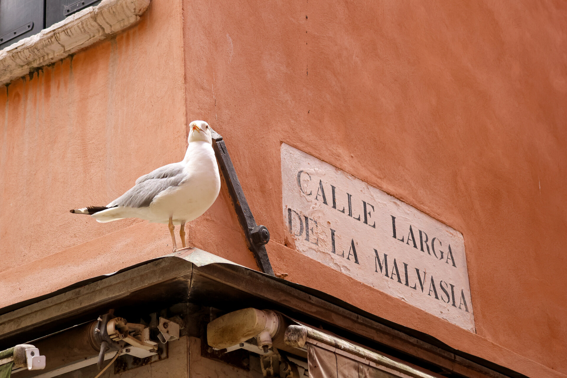 Venice