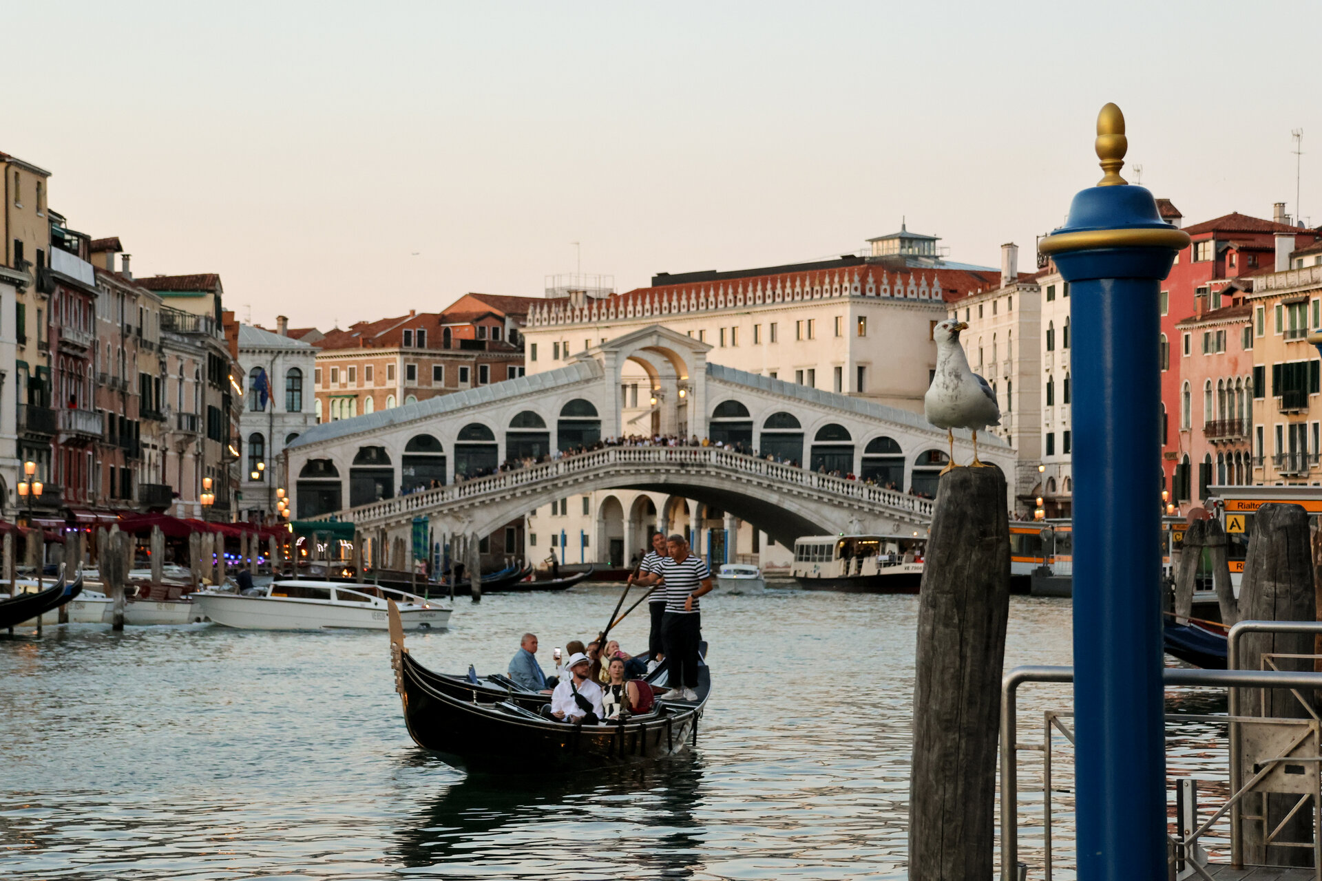 Venice
